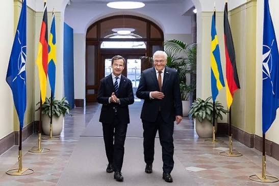 Frank-Walter Steinmeier and Ulf Kristersson walk along a flag-lined corridor